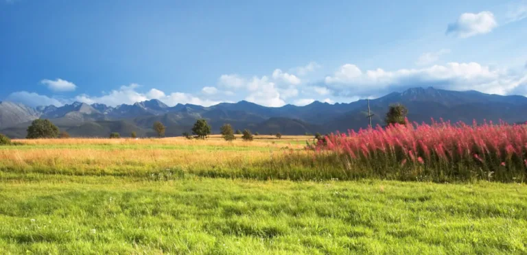 Jak ubrać się w góry na lato?