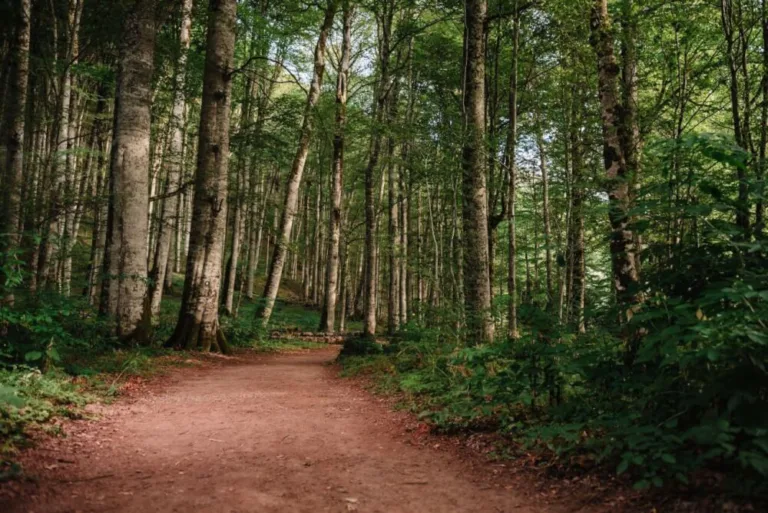 Ekologiczna turystyka, czyli fotowoltaika w obiektach noclegowych