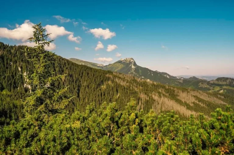 Masyw Śnieżnika co warto zobaczyć
